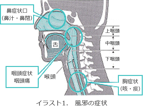 院長コラム：風邪(1)