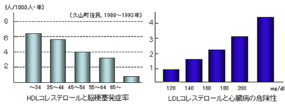 脂質異常症(高脂血症)について