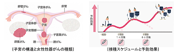 院長コラム：子宮頚ガン予防ワクチンについて