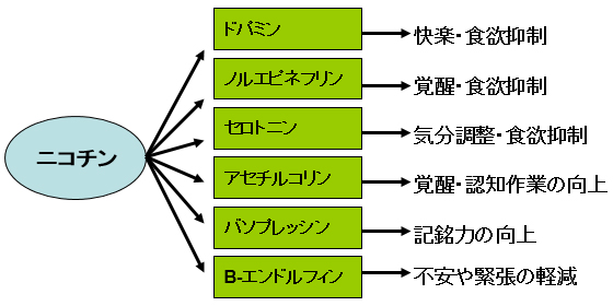 タバコをやめよう