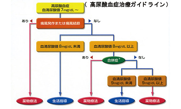 院長コラム：高尿酸血症(痛風)について(2)