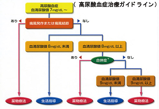 高尿酸血症(痛風)について